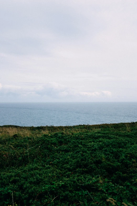 a lone man stands alone in an empty field