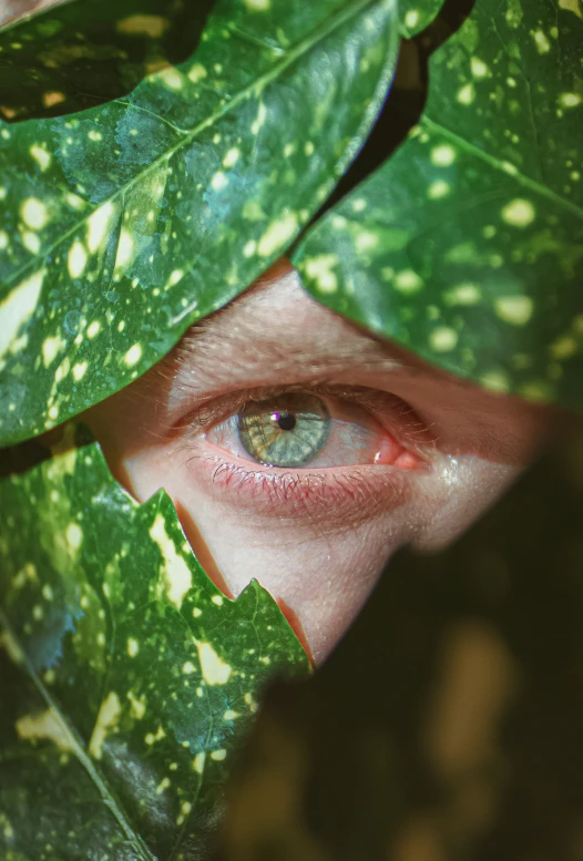 a person with blue eyes peeks out of some green leaves