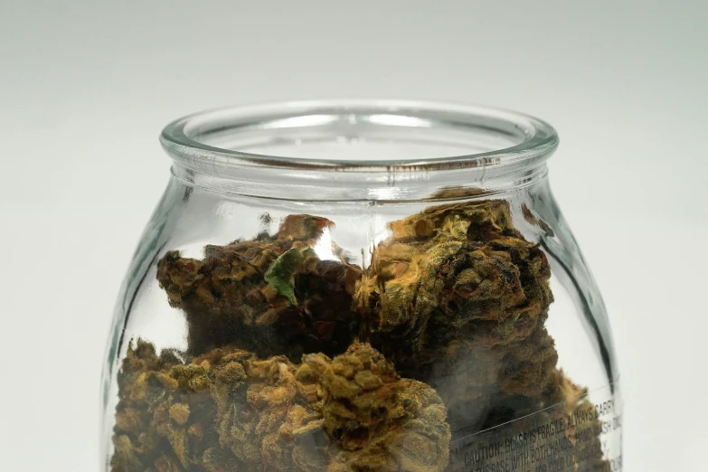 a clear jar holds dried cannabis buds