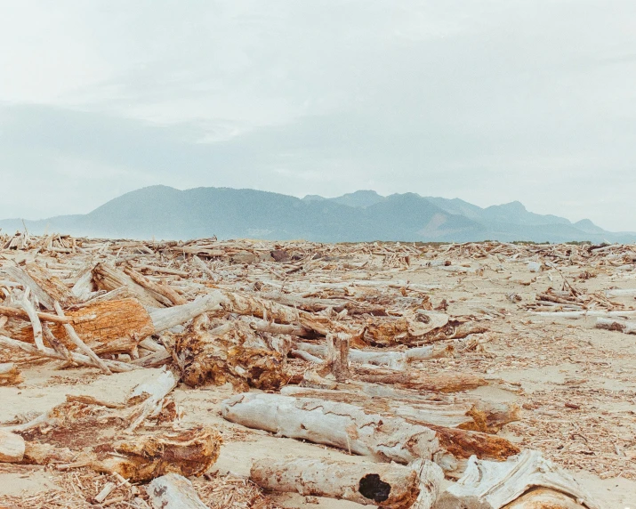 a barren desert has a dirt ground and mountains