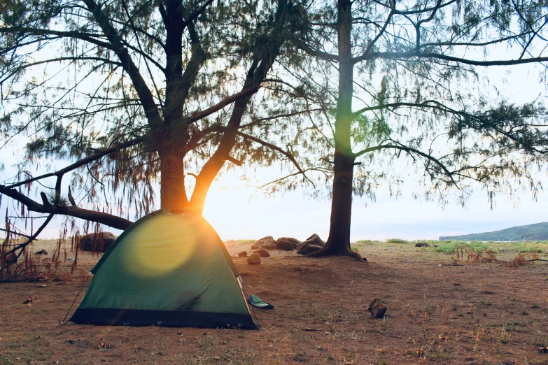 a tent in the grass under a tree and a sunset