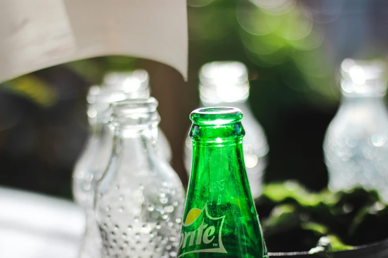 green bottle in a tray with other glass bottles