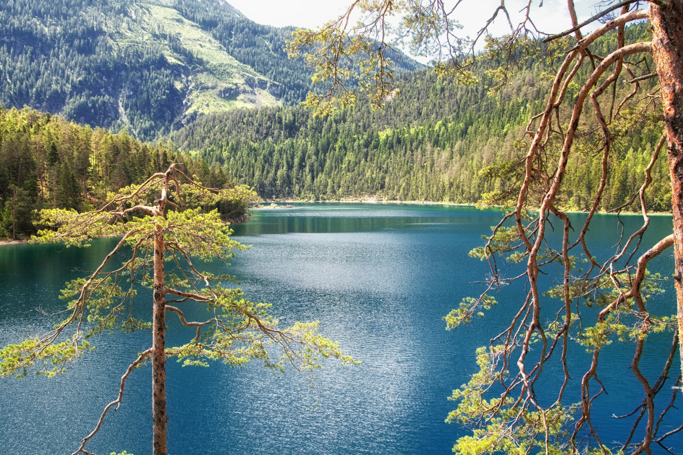 a green valley with blue water and a forest