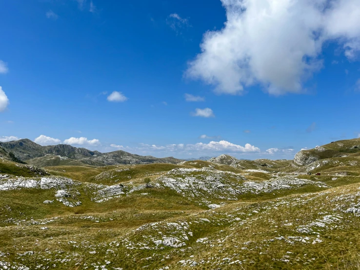 mountain range with grass, flowers, and large clouds in the sky