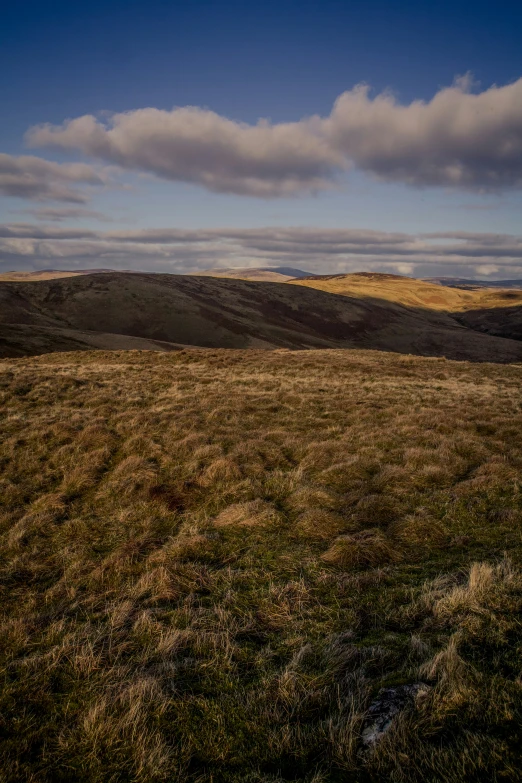 a field with green grass on it and hills below