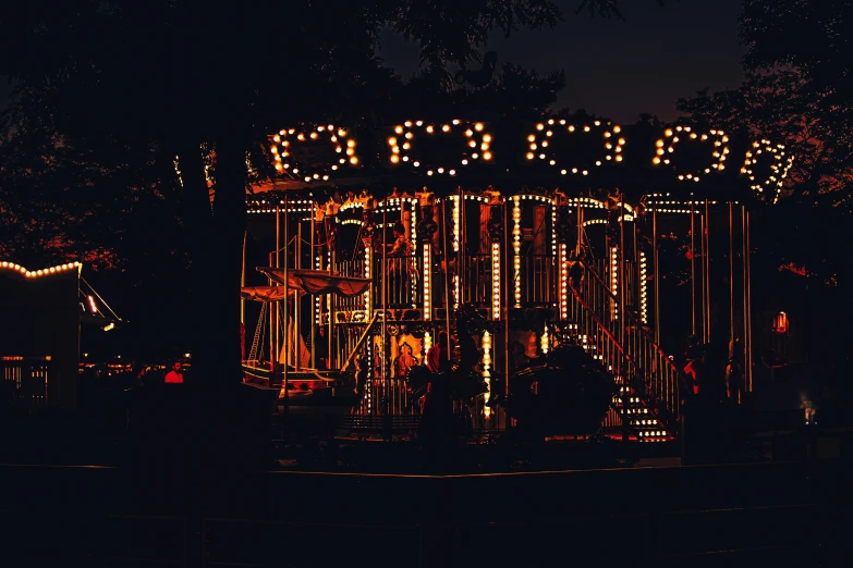 a merry go round lit up at night with trees around