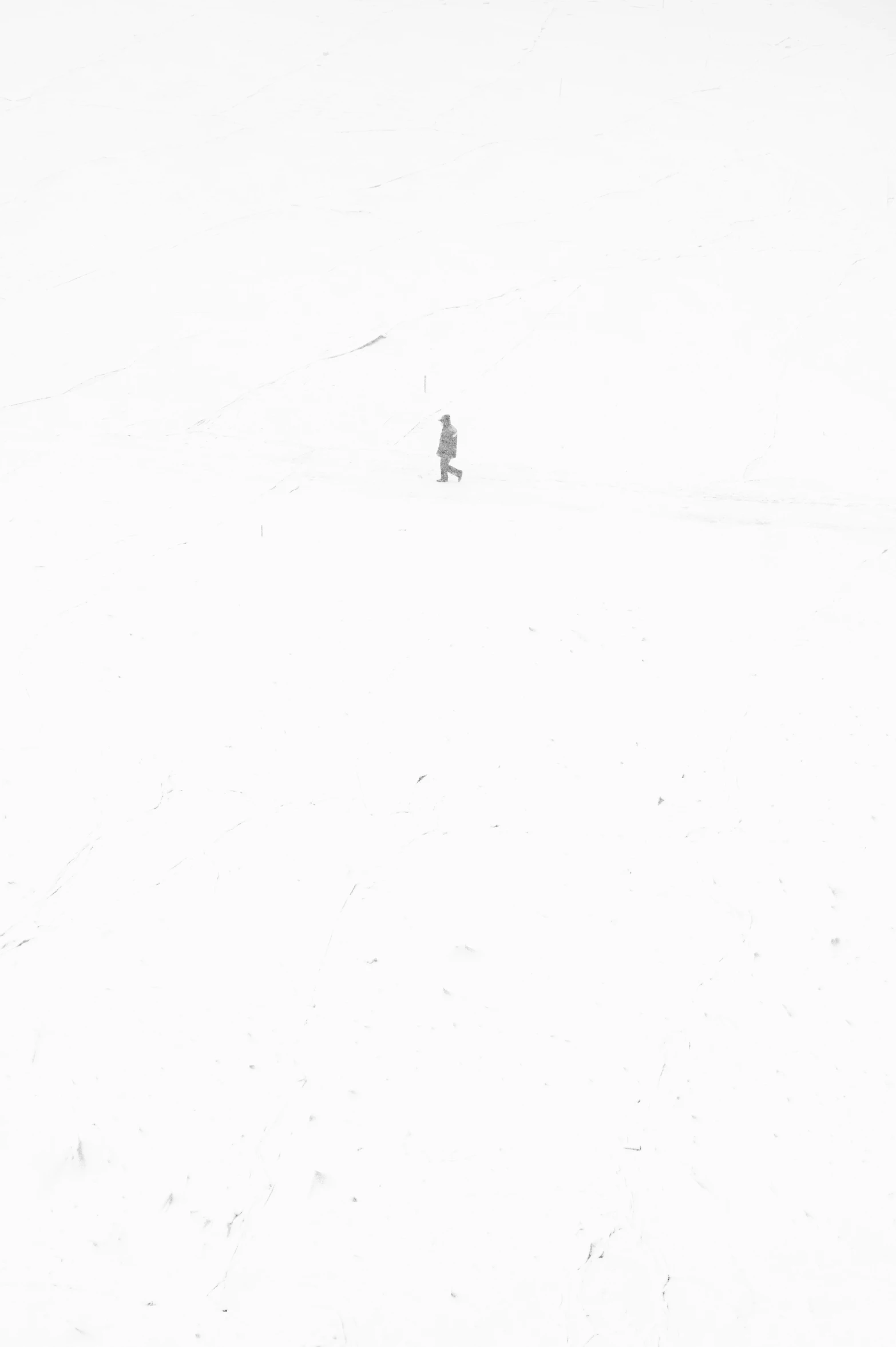 a person in the snow next to a dog