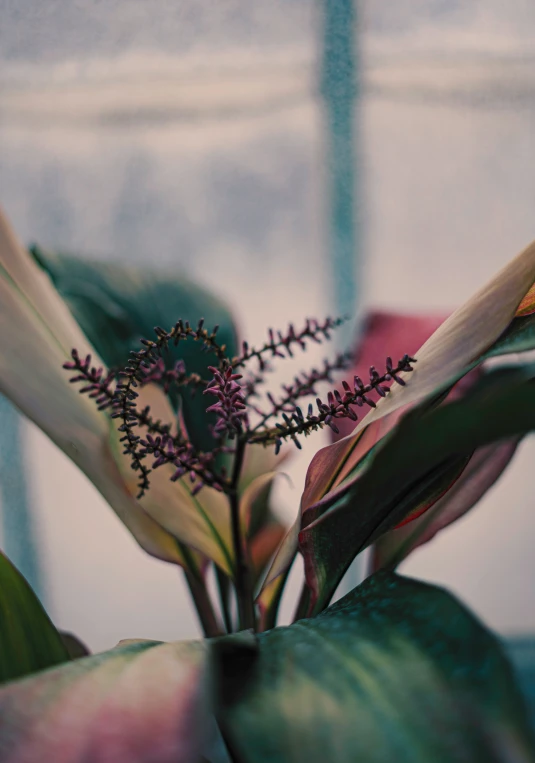 a beautiful bouquet of fresh flowers with lots of purple and green