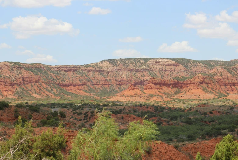 a large mountain near some very pretty green trees