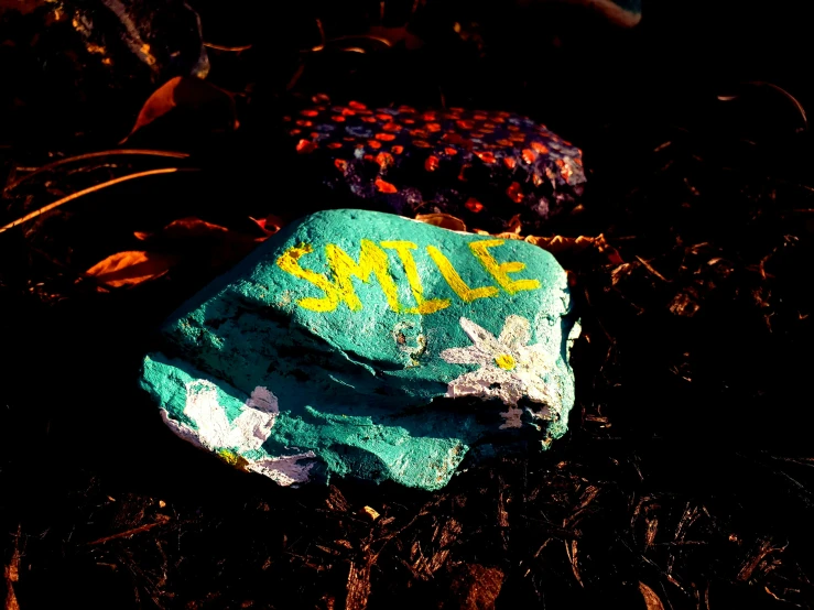 a rock covered in graffiti lying on the ground