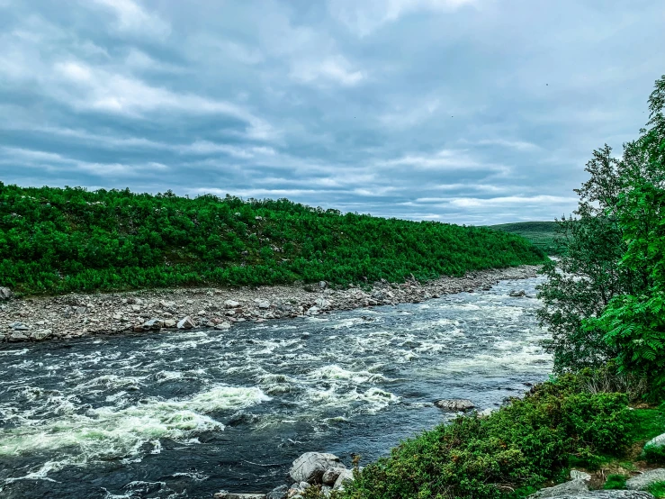 a river that runs through a jungle with trees on it