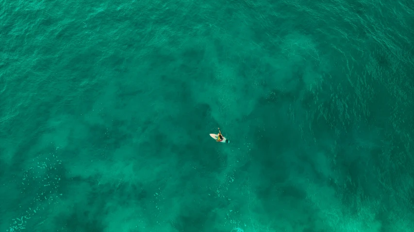 a group of surfers are riding an aerial view