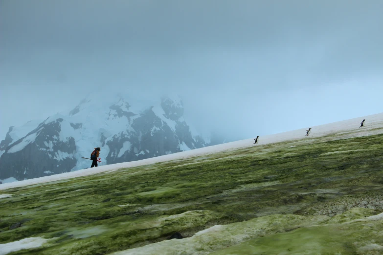 four people walking down the side of a mountain in the wilderness