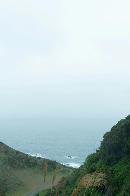 a grassy hill side on the ocean, with people walking