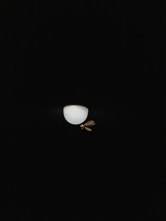 a black and white po of a light at night