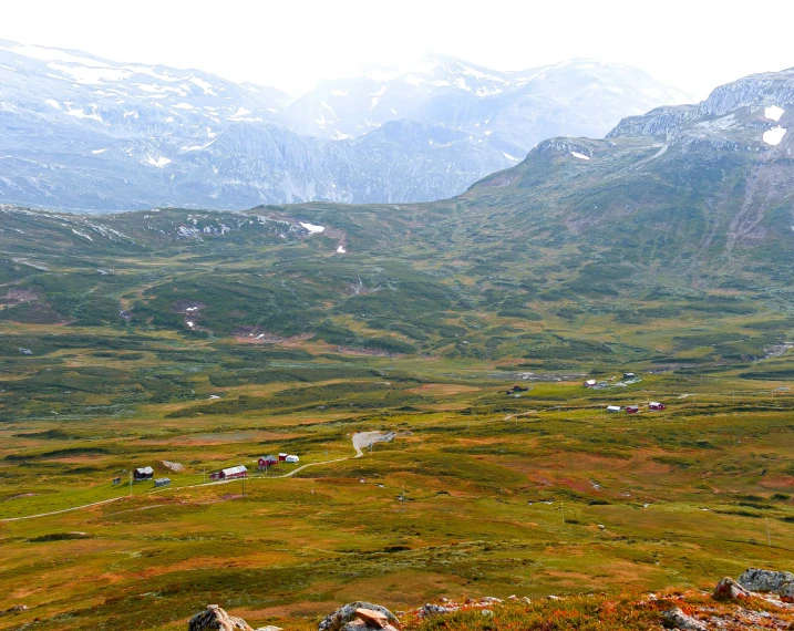 the hills are covered in grass and flowers