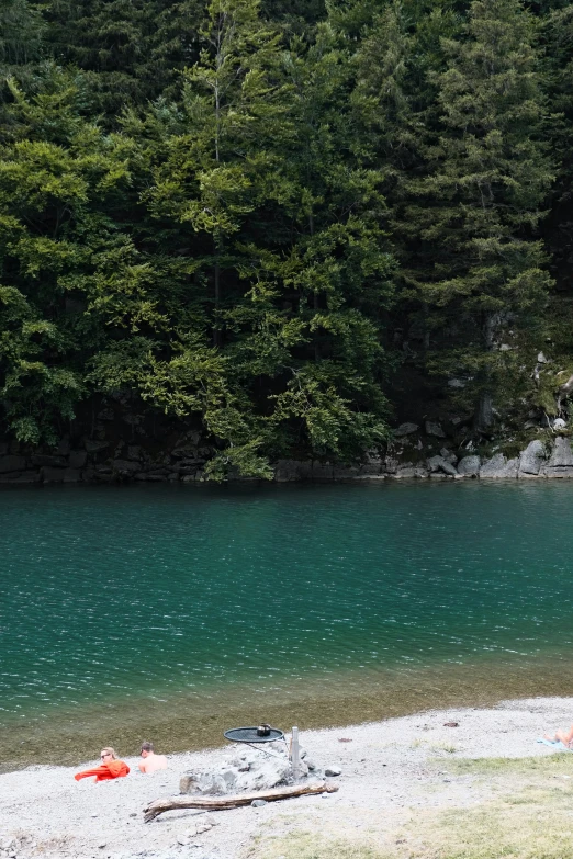 a large body of water surrounded by trees