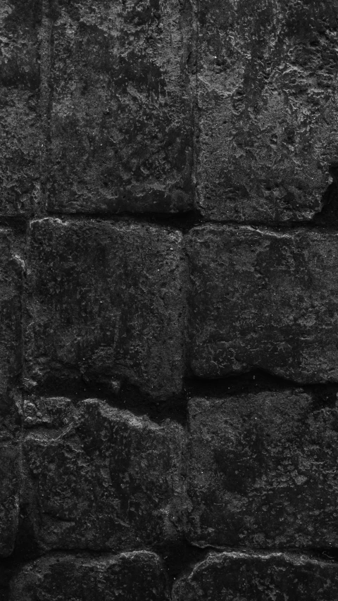 black and white po of bricks with black s