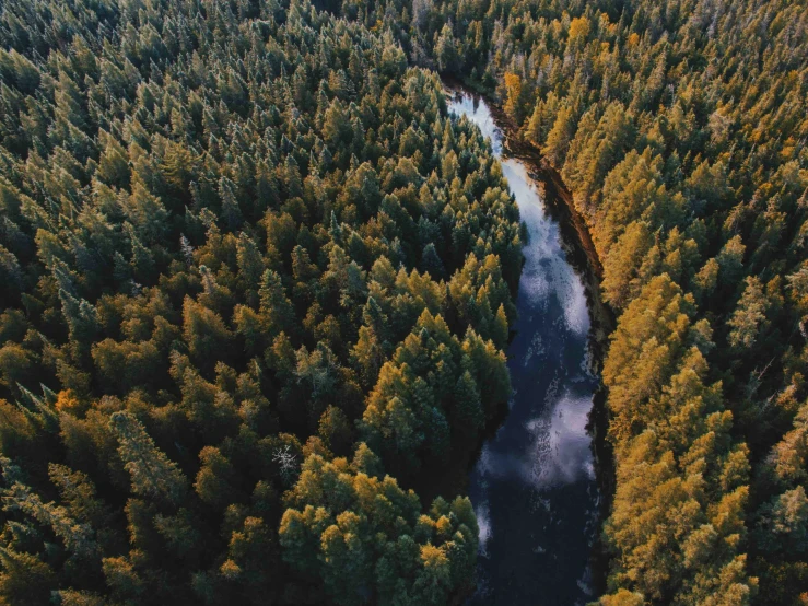 an aerial s of a river surrounded by trees