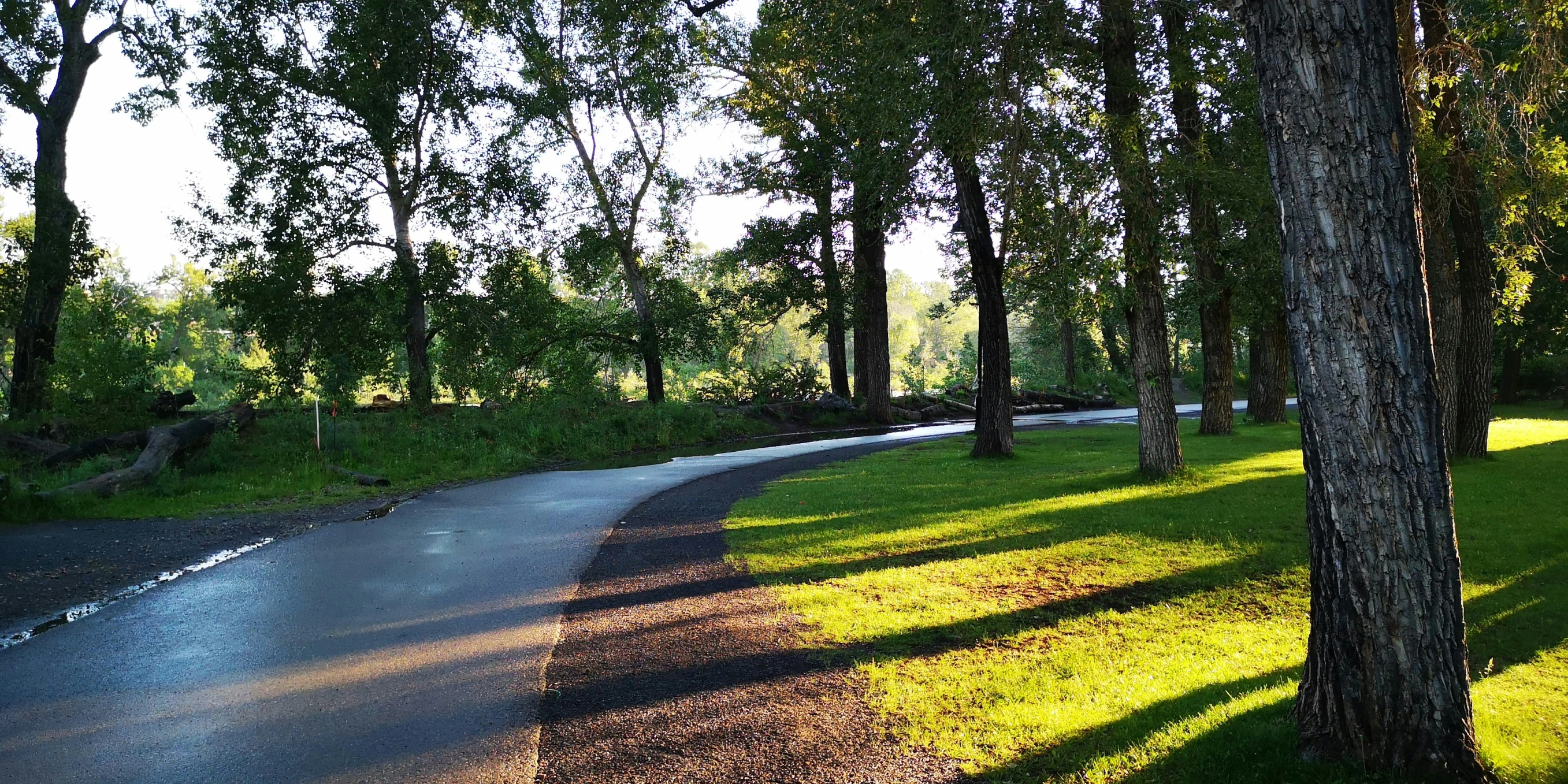 there is a road going between trees and green grass