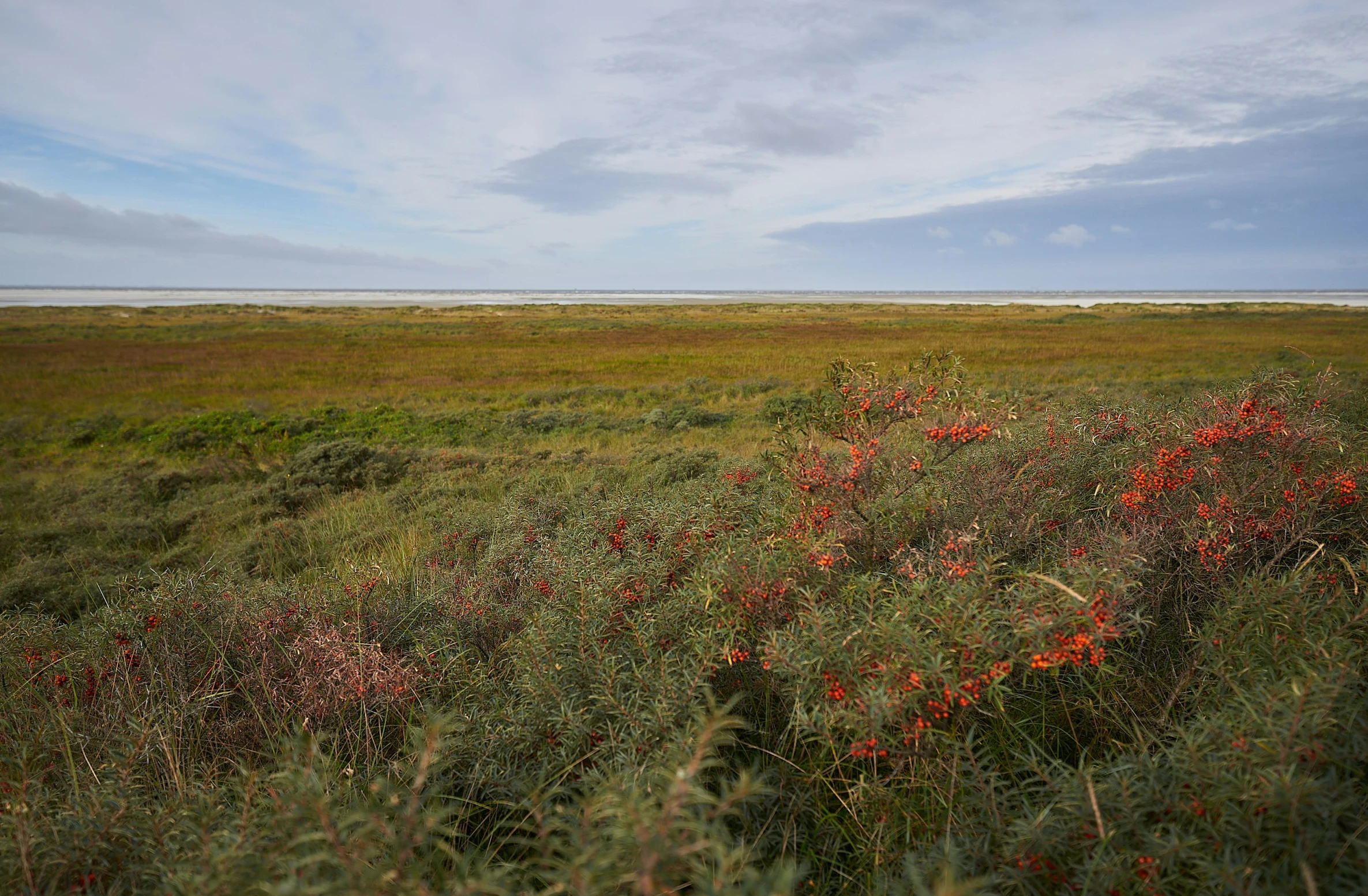 a beautiful view of the landscape of a field