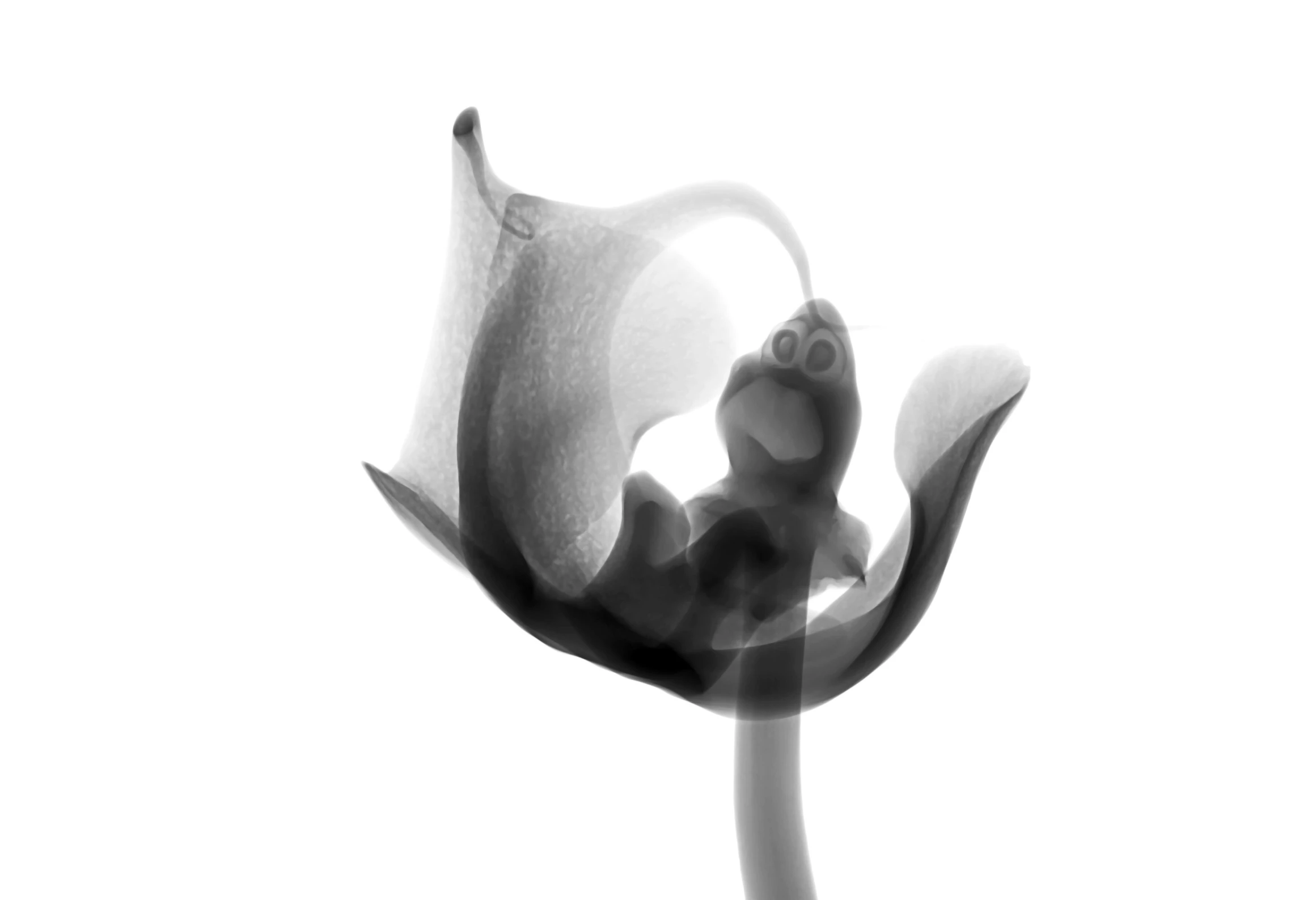 a flower that has been placed on a stem