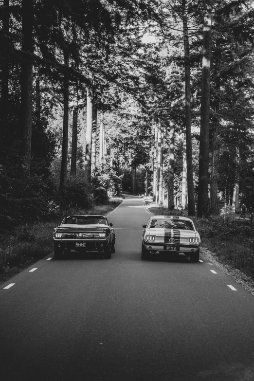 two cars parked in the street next to trees