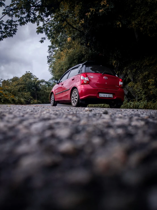 red car parked near tree on paved street