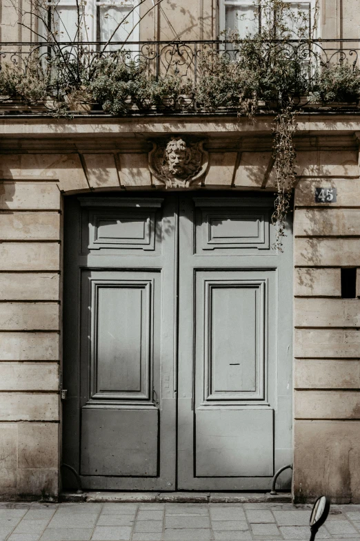 a cat sitting on the sidewalk in front of two large doors