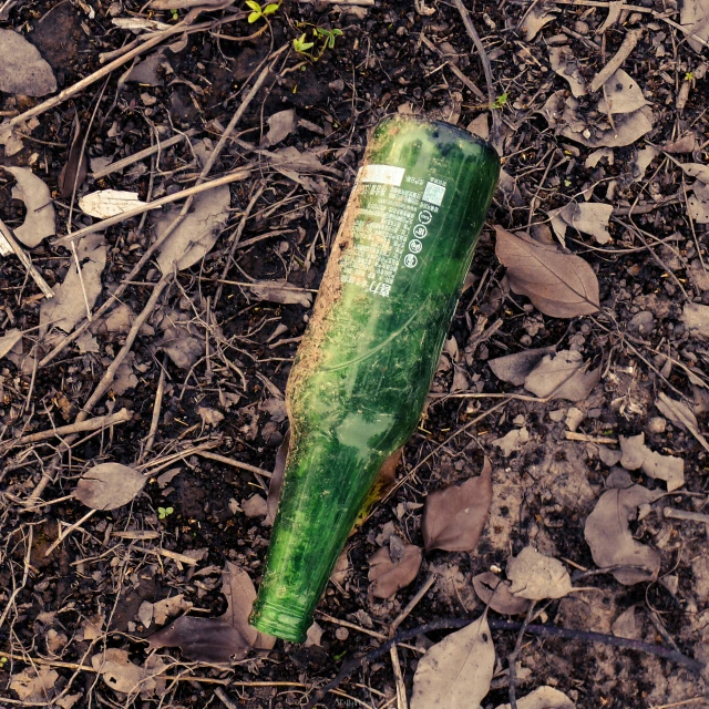 a green object lying on the ground in dirt