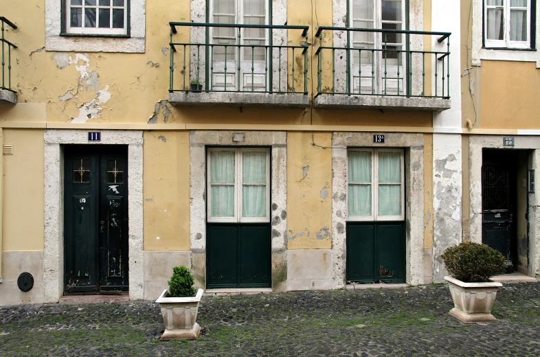 two large potted plants in front of old buildings