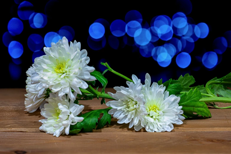 some white flowers are on a table