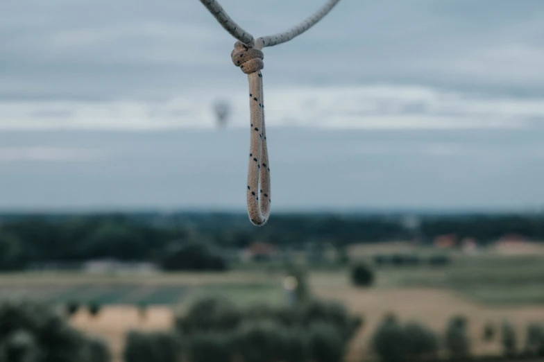 a rope holding up a bird feeder near a lush green field