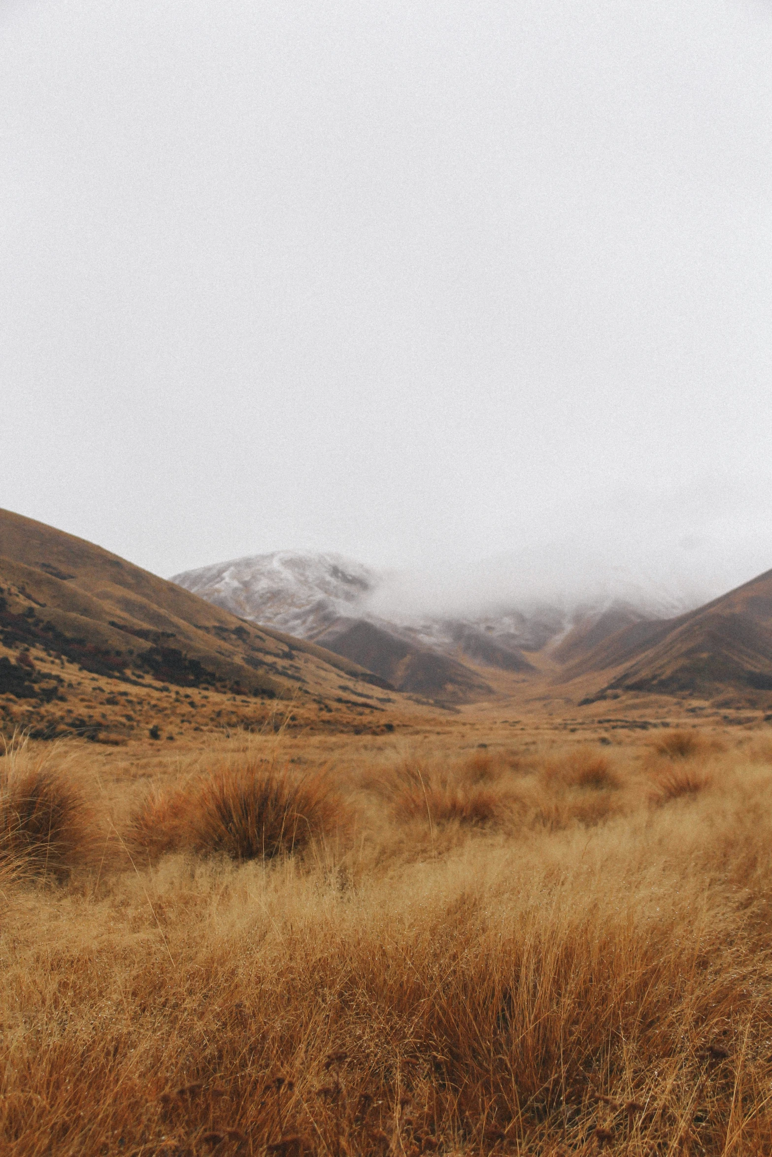 a field is shown in the middle of some mountains