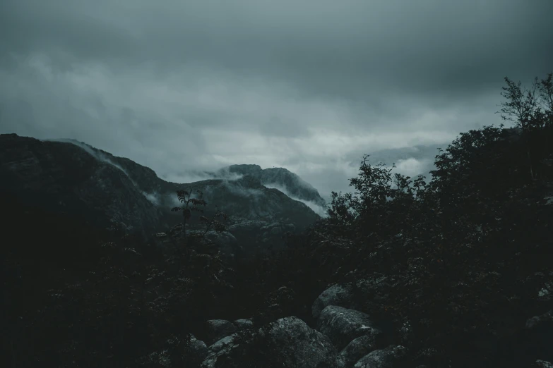 there are trees and rocks near the mountain side