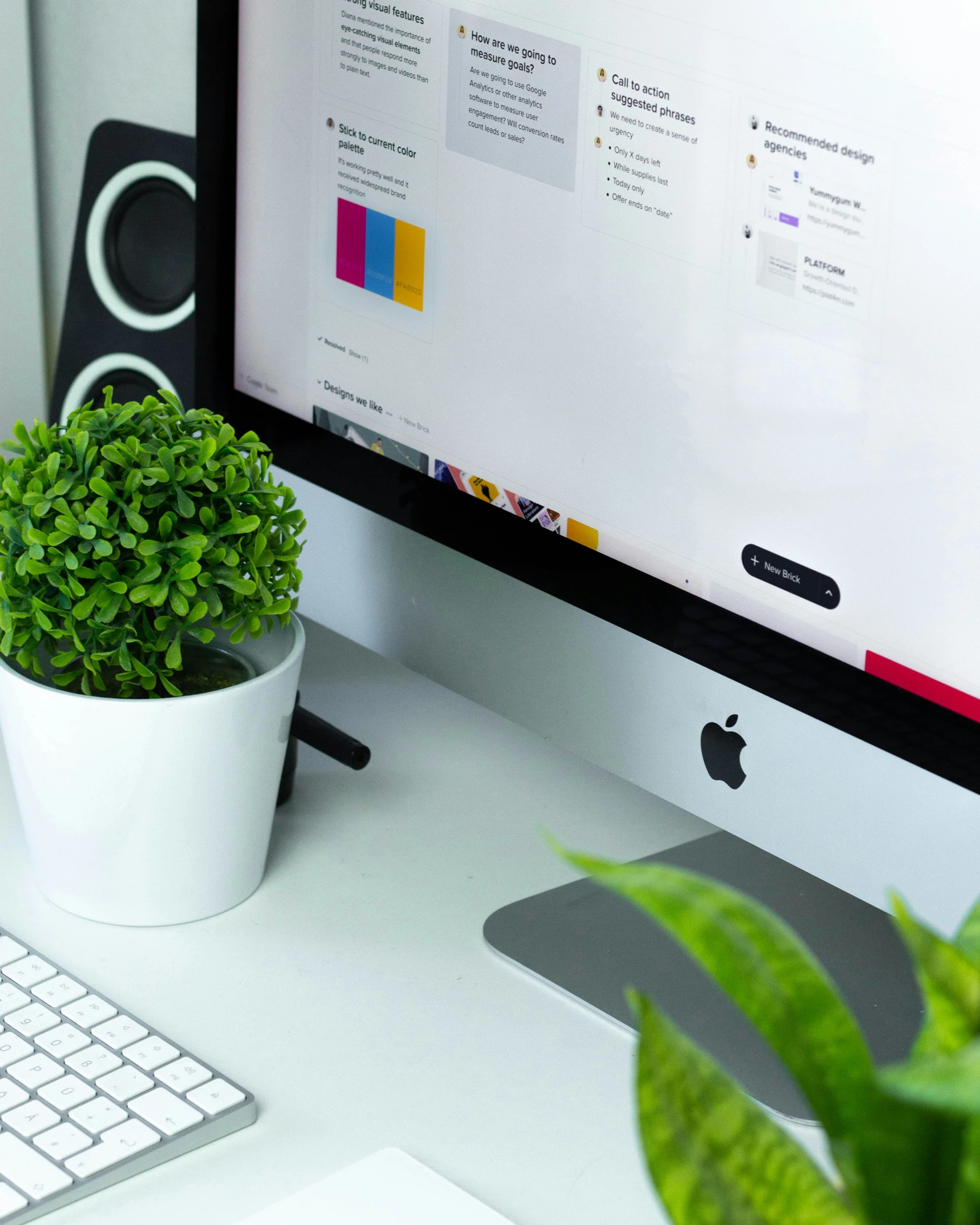 a potted plant sits next to an apple computer