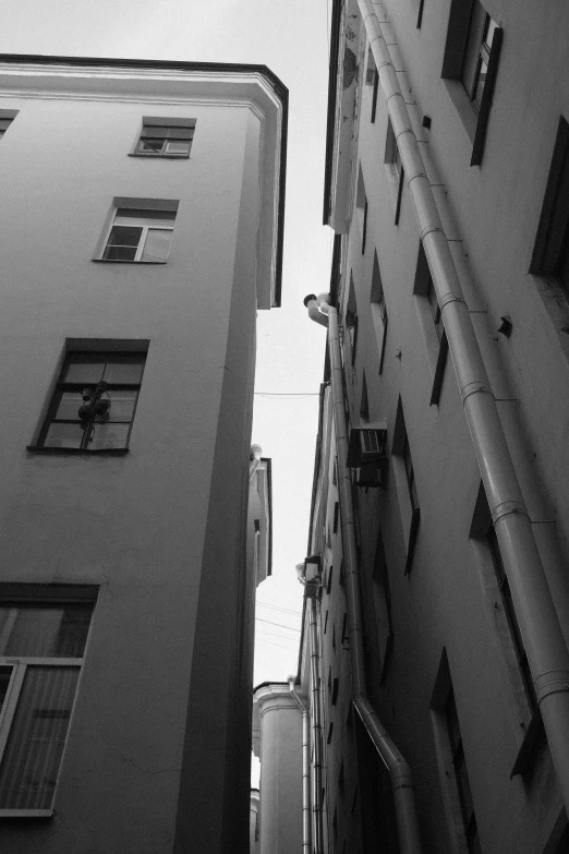 black and white po looking up at buildings