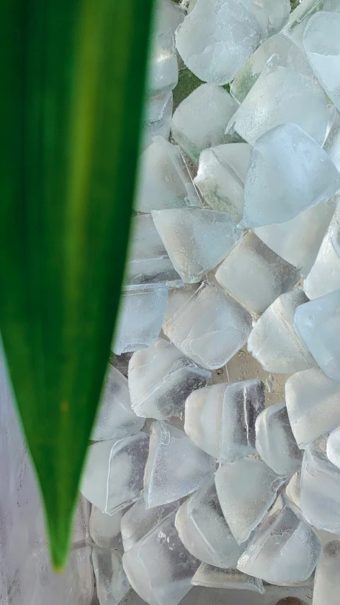 a close up image of glass with a plant in the background