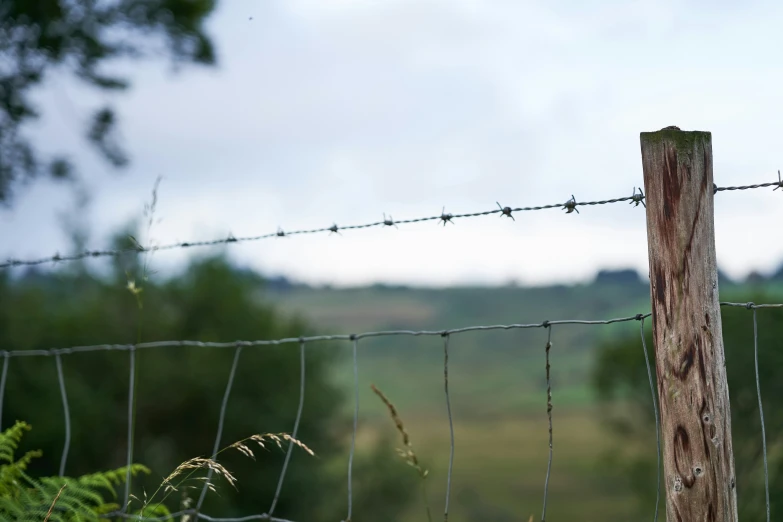 an animal sitting on a wooden post behind a wire fence