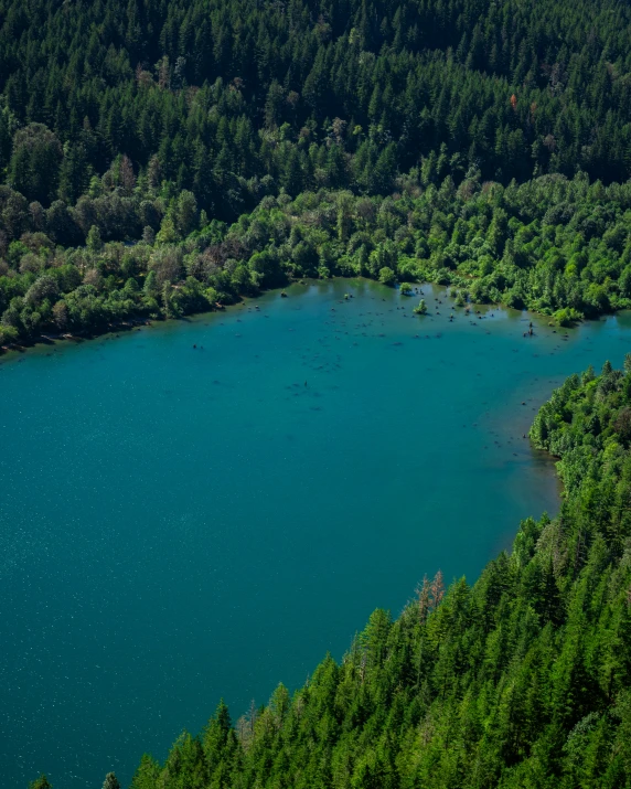 blue water in the middle of some green woods