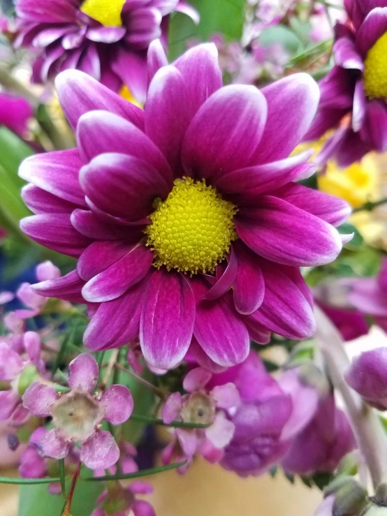 purple flowers are in a vase filled with green leaves