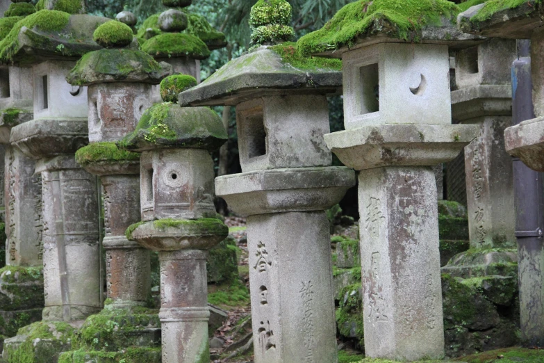 a bunch of statues with moss growing on them