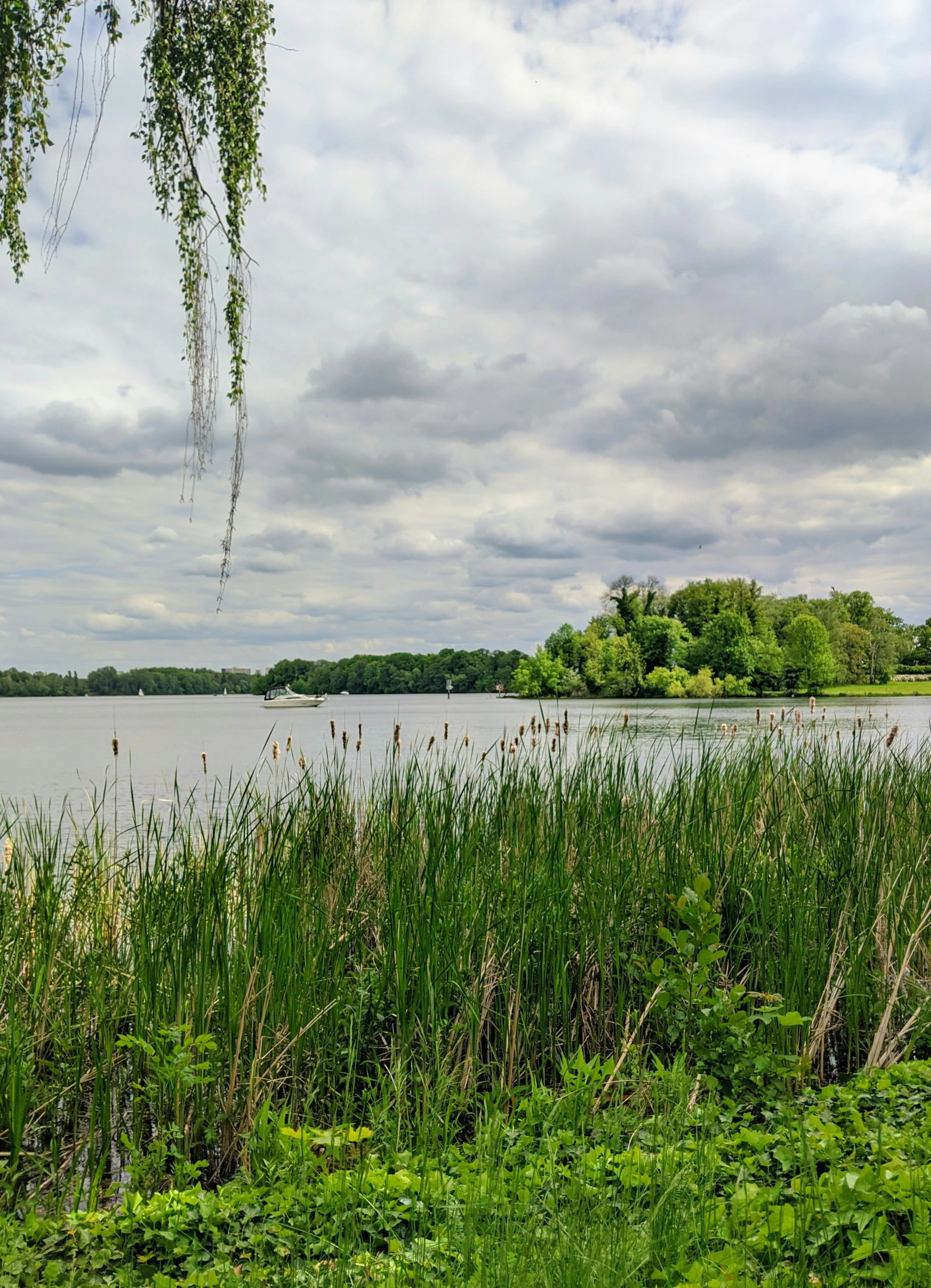 a body of water that is next to the grass