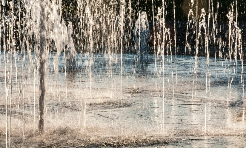 water is flowing into an open area that has many plants growing from it