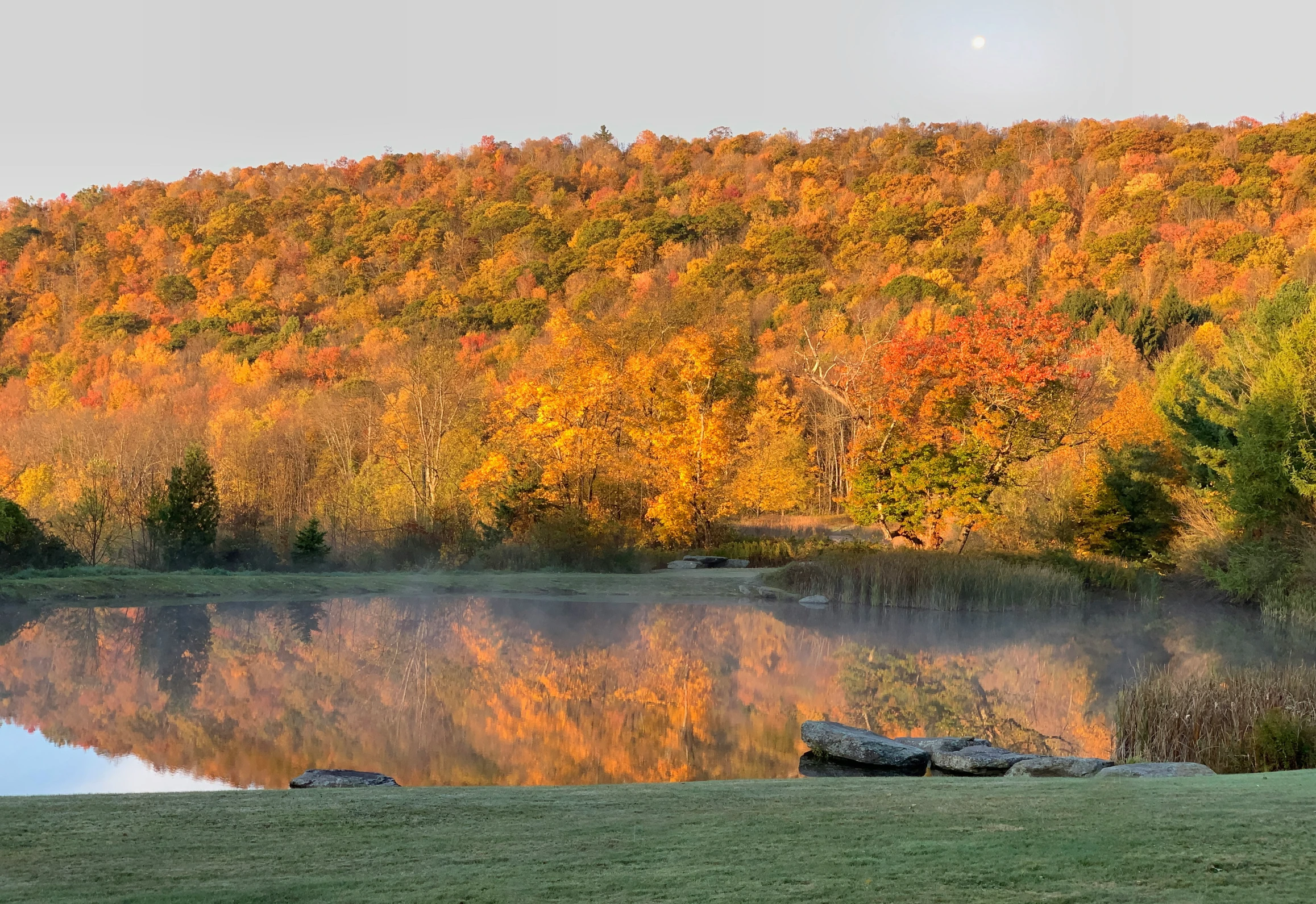 a lake in the middle of the woods with trees turning colors