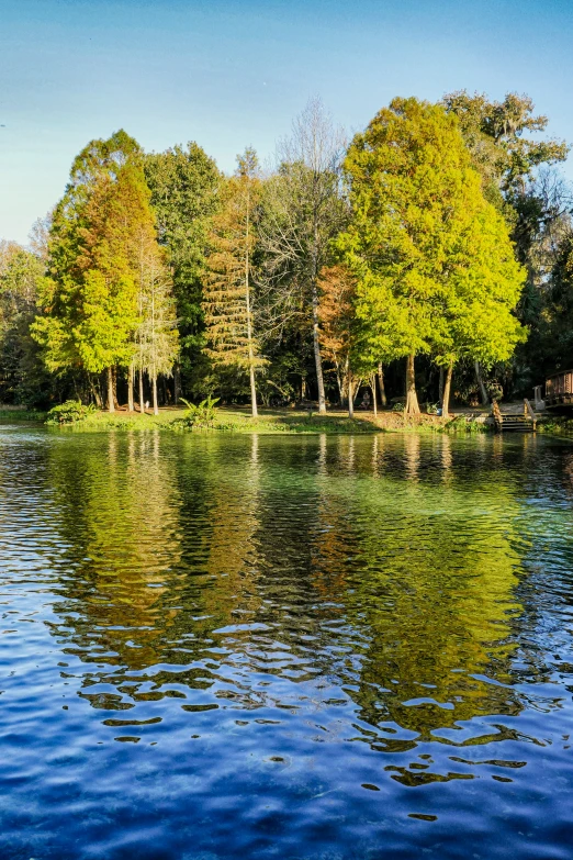 water is in the foreground and trees in the background