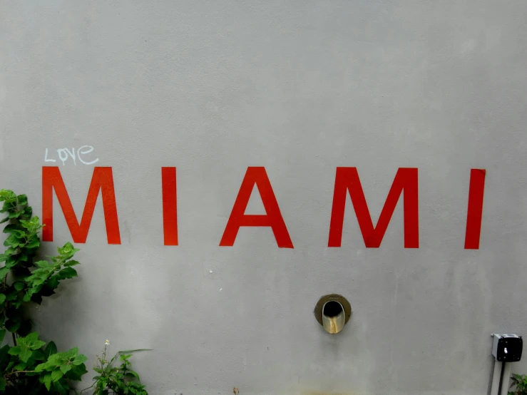 the word miami painted on a wall with a plant in it