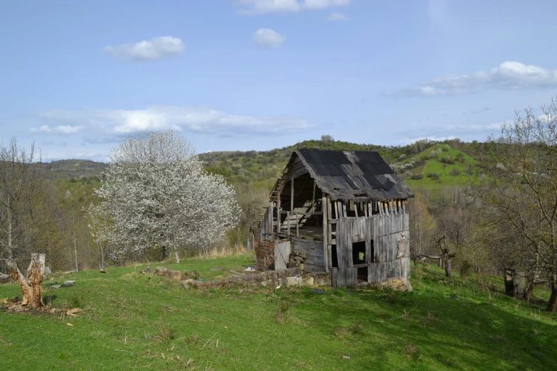 an old run down house surrounded by a lush green field