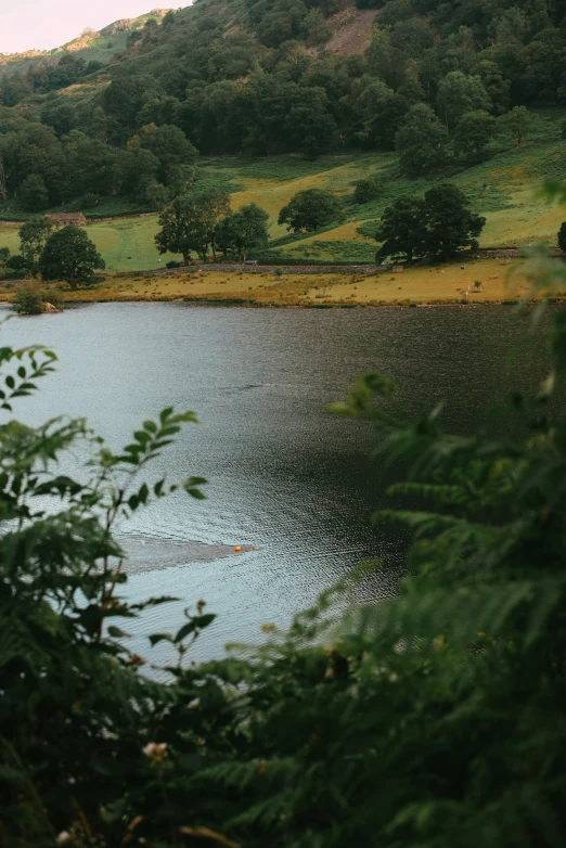 there is a hill near a lake that has trees on the sides of it