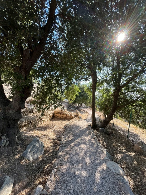 the sun is shining on trees over a trail